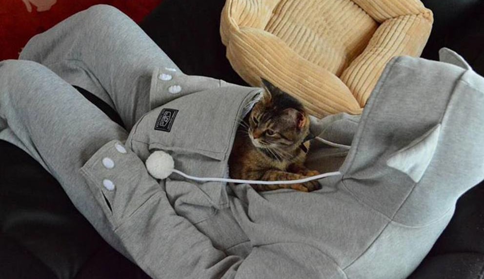 Felpa per gatto clearance